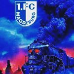 Profile Picture of Steven Stranz (@stevenstranz) on Instagram