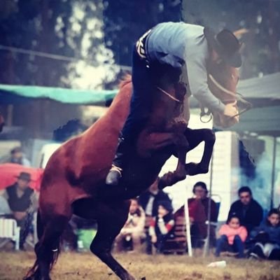 Profile Picture of Bryan Lando (@bryan_lando) on Twitter