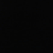 Profile Picture of Kyle Anthony (@kyleanthony3999) on Youtube