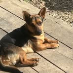 Profile Picture of Jimmy Haggard (@JimmyHaggard) on Facebook