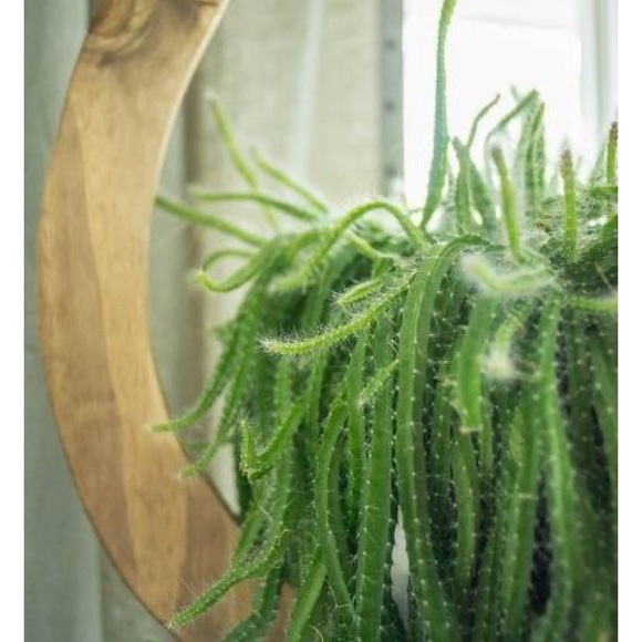 Profile Picture of April Ryan (@aprilryan721) on Poshmark