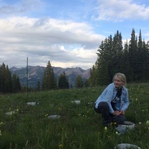 Profile Picture of Laura Leonard (@lleonardsci) on Twitter