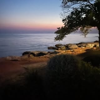 Robert Spaar - Instagram Profile Picture of Robert Spaar (@robertspaar) on Instagram