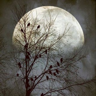 Profile Picture of Stephen Bickel (@Stephen-Bickel) on Facebook