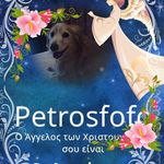 Profile Picture of Petrosfofo Kottis (@petrosfofo) on Instagram