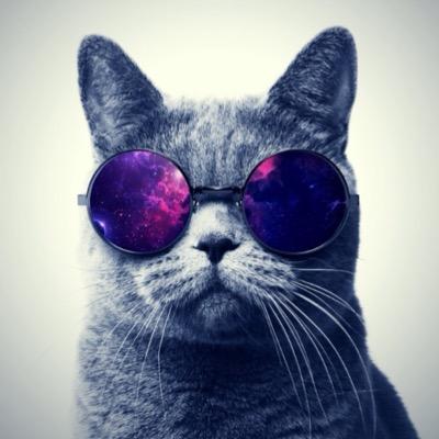Profile Picture of Miranda Lowe (@Miranda10520) on Twitter