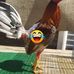 Profile Picture of Juan Irizarry (@juan.irizarry.3517) on Facebook