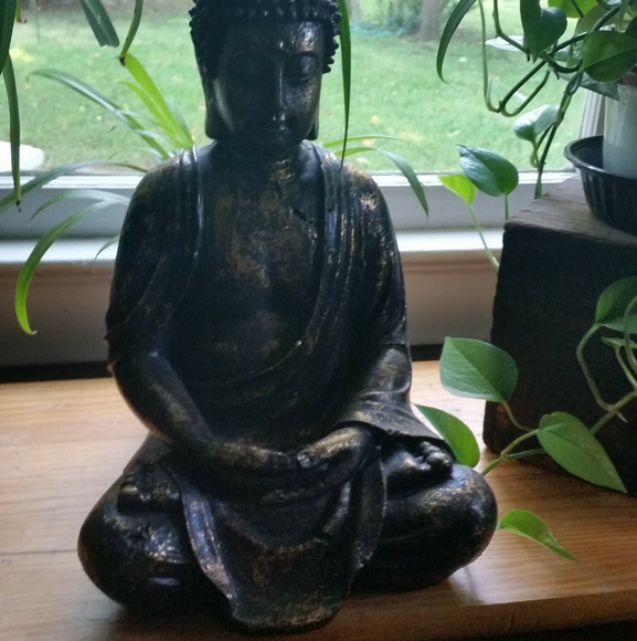 Profile Picture of Carol Sharp (@mybudda) on Poshmark