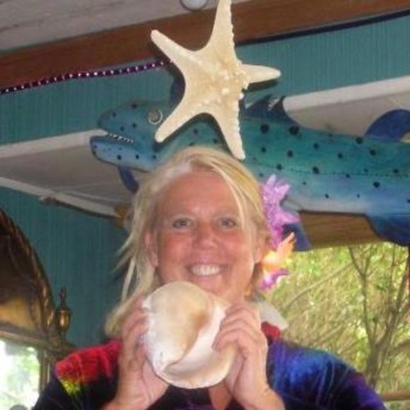 Profile Picture of Joan Rorabaugh (@joanie201) on Poshmark