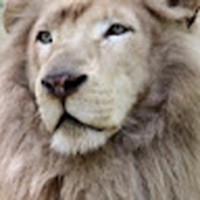 Profile Picture of Kim Ba (@kim-ba-15) on Quora