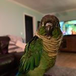 Profile Picture of CHIP CARTER (@chip_bits_) on Instagram