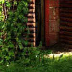 Profile Picture of Marshall_Goodman (@marshall_goodmant) on Instagram