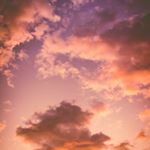 Profile Picture of jose morales (@jose_juan_morales7) on Instagram