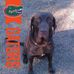 Profile Picture of Greg Chavis (@greg.chavis.79) on Facebook