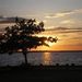 Profile Picture of Edward Fitzsimmons (@efitzs531) on Pinterest