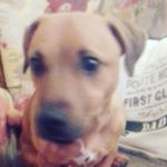 Profile Picture of Benjaminwalpole (@benjaminwalpole) on Instagram