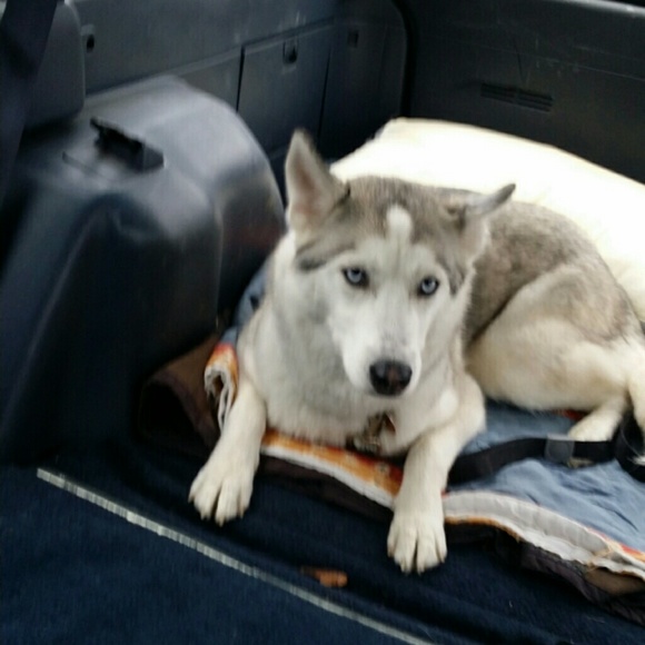 Trey Meyer - Poshmark Profile Picture of Trey Meyer (@tredotcom) on Poshmark