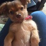 Profile Picture of Beverly Stanford (@beverlystanford60) on Instagram