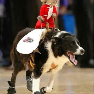 Profile Picture of George Lemus (@367181056) on Myspace