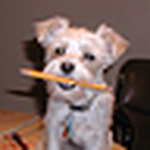 Profile Picture of Jeff Morgan (@morgan miller) on Flickr