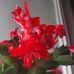 Profile Picture of Myrna Gibbons (@myrna.gibbons) on Facebook