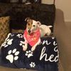 Profile Picture of Phyllis Pyles (@@user2735865995368) on Tiktok