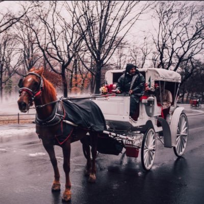 Profile Picture of Ova Wise (@youngJo29562045) on Twitter