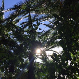 Profile Picture of Dylan Bland (@dylan.bland.969) on Facebook