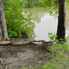 Profile Picture of user2466954645525 (@@alex_haugen) on Tiktok