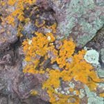 Profile Picture of Pamela Cobb (@pcobb_photography) on Instagram