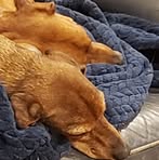 Profile Picture of Clifton Shelton (@clifton.shelton.79) on Facebook