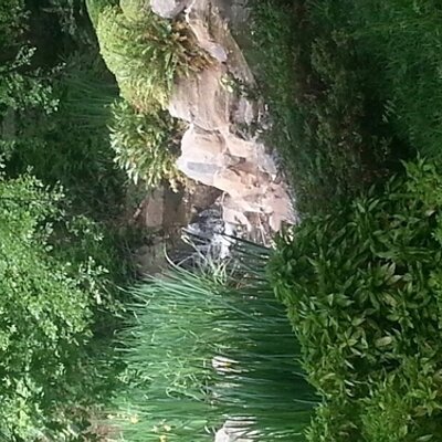 Profile Picture of Jean Cannon (@mevolicannon) on Twitter