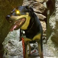 Profile Picture of Kevin Schultz (@kevin-schultz-32) on Quora