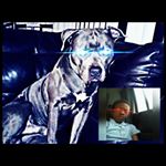 Profile Picture of chris nealy (@chrisnealy305) on Instagram