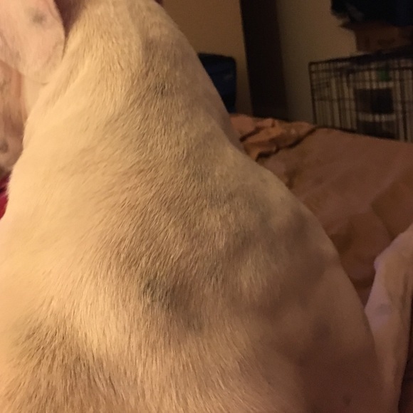 Profile Picture of Claire Frenger (@clairebear2118) on Poshmark