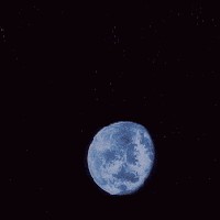 Profile Picture of Ryan Liu (@ryan-liu-253) on Quora