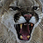 Profile Picture of Patrick North (@pbnorth) on Flickr