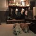 Profile Picture of Andrew Pearson (@drewpearson55) on Pinterest