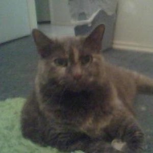 Profile Picture of Macy Mccall (@macyk2008) on Myspace