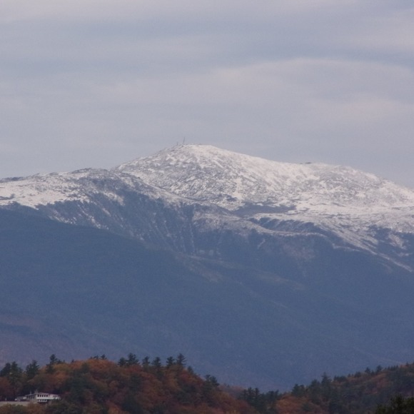 Profile Picture of Paula Foisie (@paulaeleven) on Poshmark