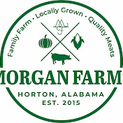 Profile Picture of Mitchell Morgan (@mitchellmorgan) on Youtube