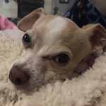 Profile Picture of Bethany West Fahey (@westfahey) on Instagram