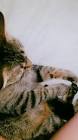 Profile Picture of   katie.kiwi.killer... (@katie.and.killer) on Tiktok