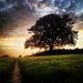 Profile Picture of Heather M (@heathergisele16) on Pinterest