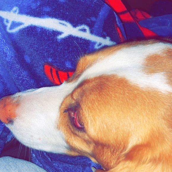 Profile Picture of Morgan Bregier (@bregierm) on Poshmark