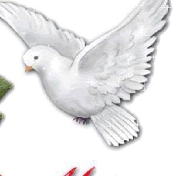 Profile Picture of Eric Erik (@unclepoo) on Poshmark