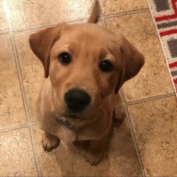 Profile Picture of Marki Engel (@engelmarki) on Poshmark