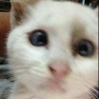 Profile Picture of Alexandra Astudillo (@alexita_ast) on Twitter