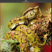 Profile Picture of Dylan Silcocks (@dylansilcocks196) on Youtube