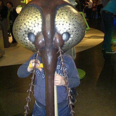 Profile Picture of Bogdan Ivanov (@bogdanisland) on Twitter